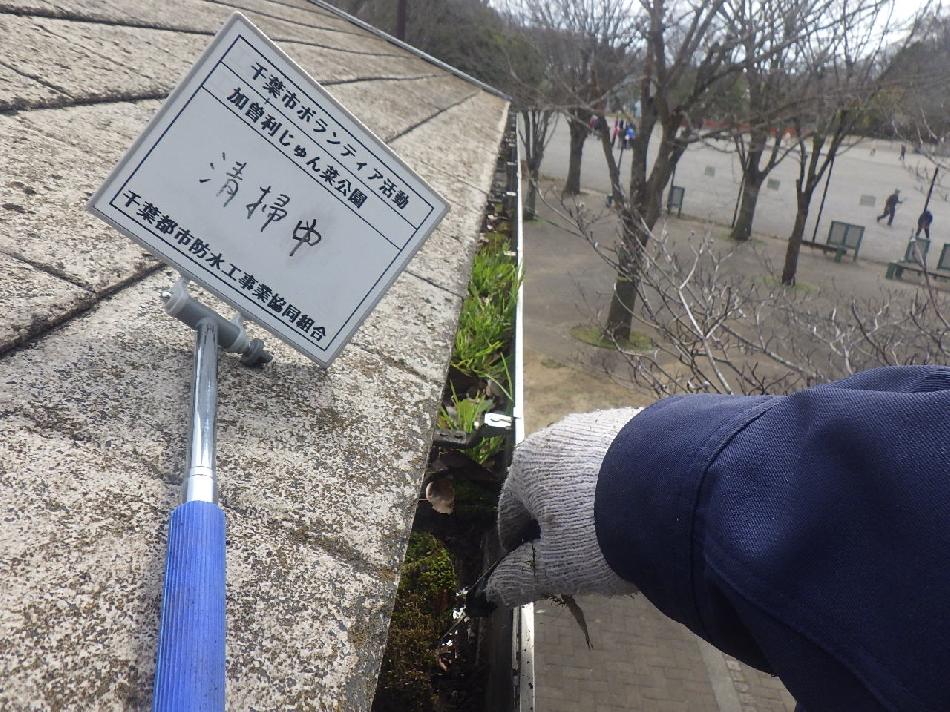 画像3 画像3